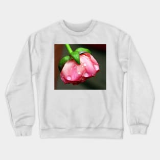 A pink bud in rain. Crewneck Sweatshirt